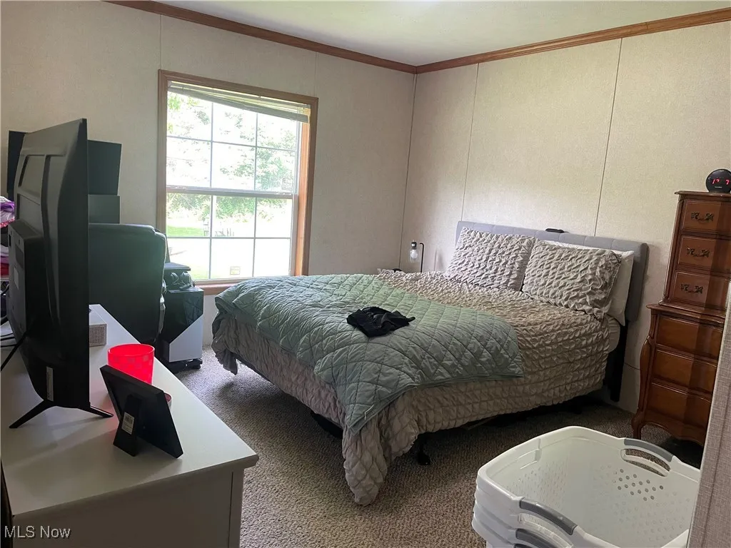 Carpeted bedroom featuring crown molding