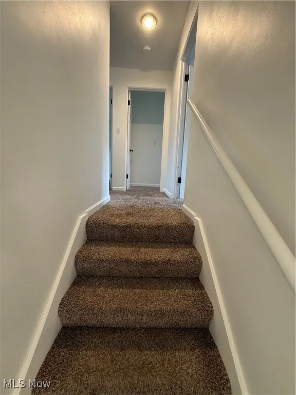 Stairs with carpet and baseboards