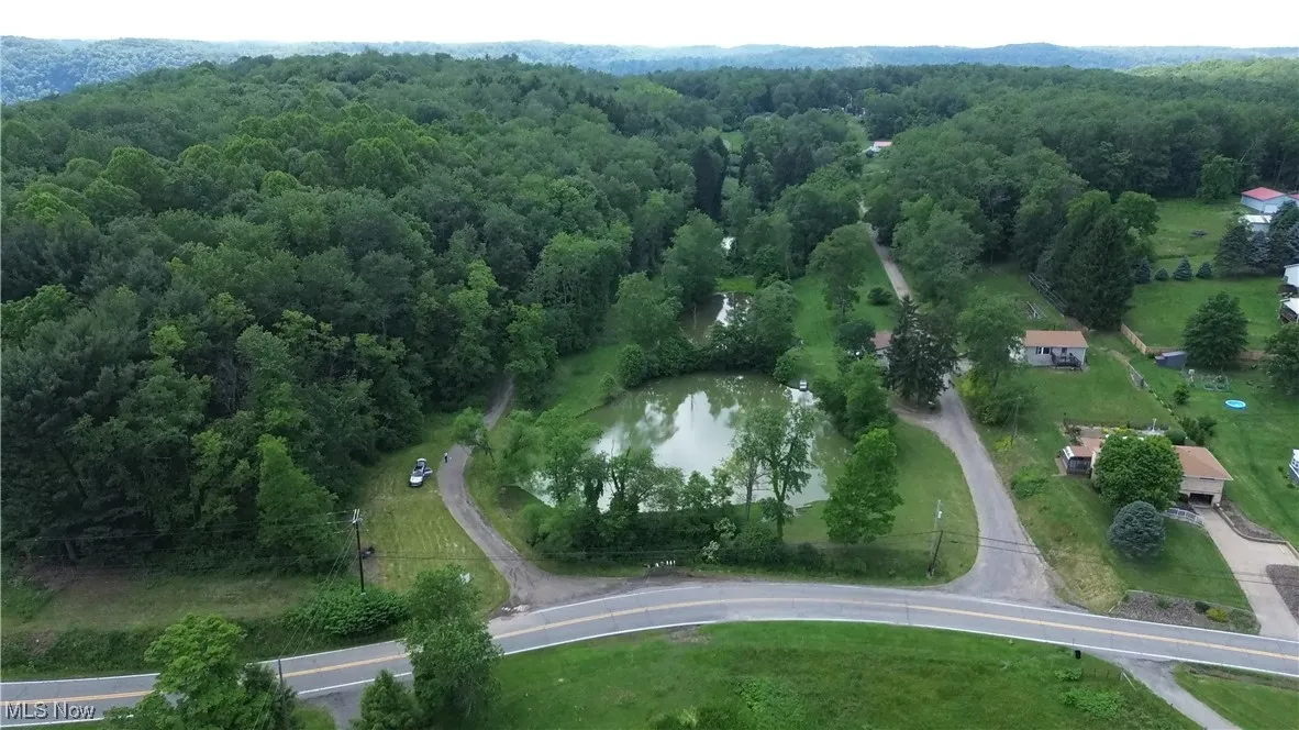 Aerial view of a forest