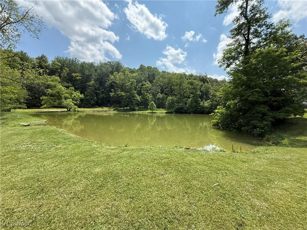 Water view with a forest