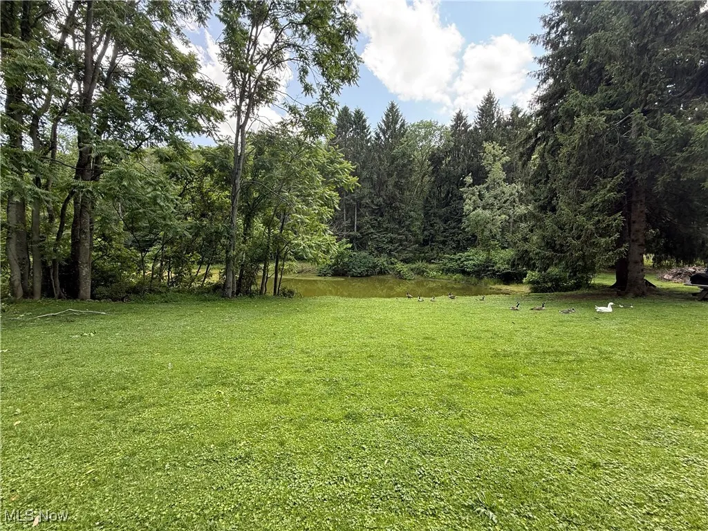 View of grassy yard