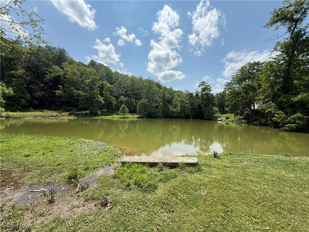 Water view featuring a forest