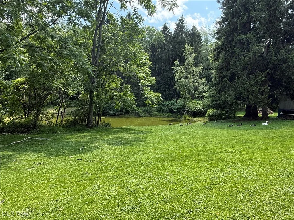 View of green lawn