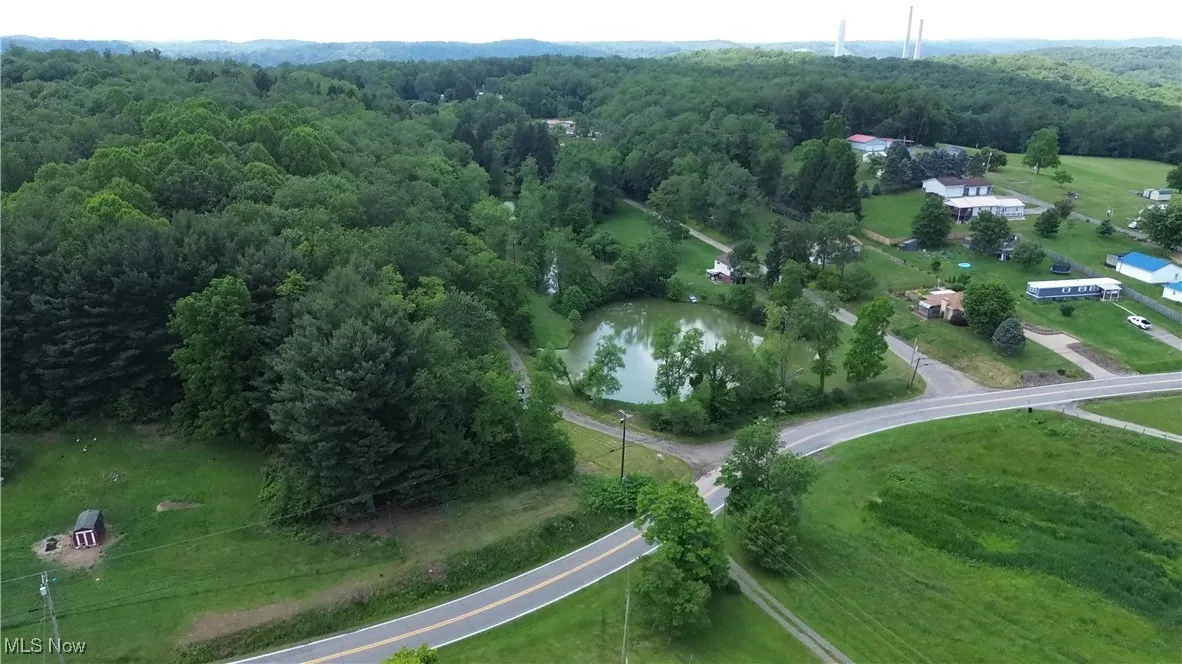 Aerial view of a forest