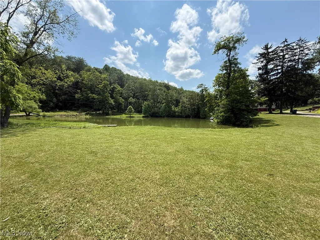 View of green lawn with a water view and a view of trees