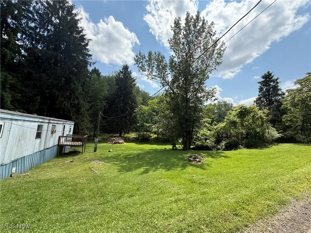 View of green lawn