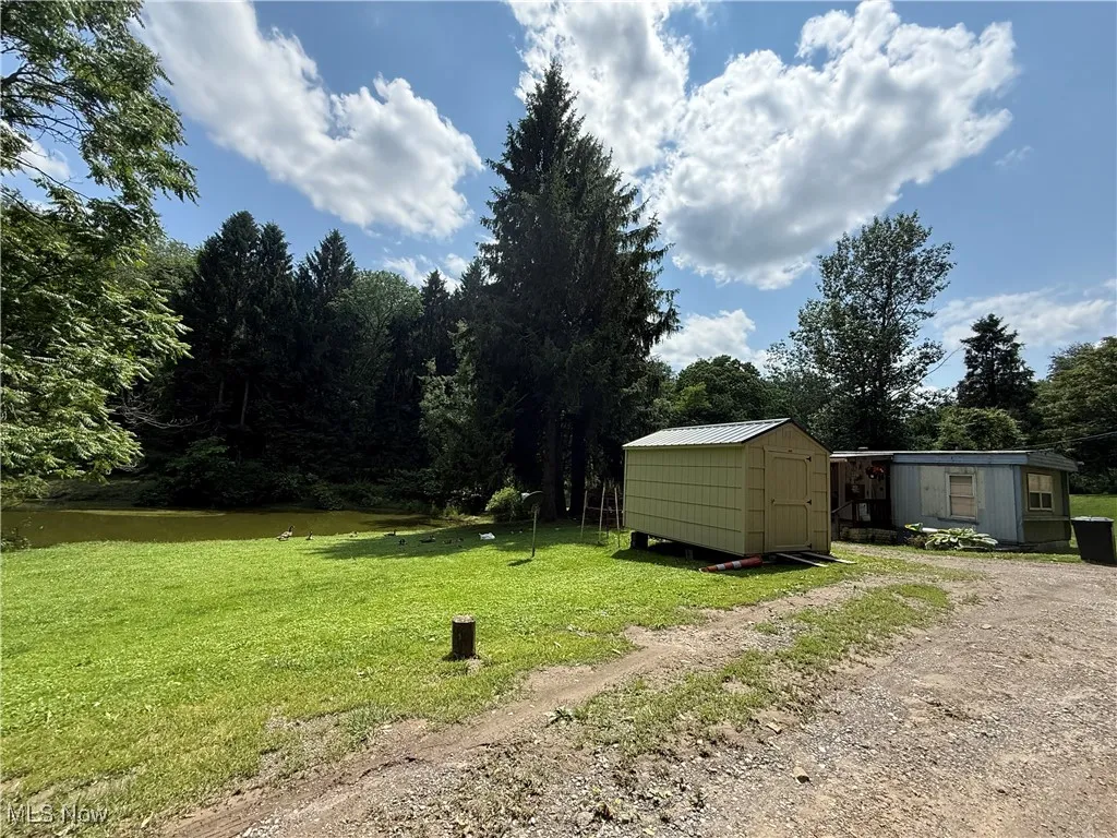 View of grassy yard featuring a storage unit and driveway