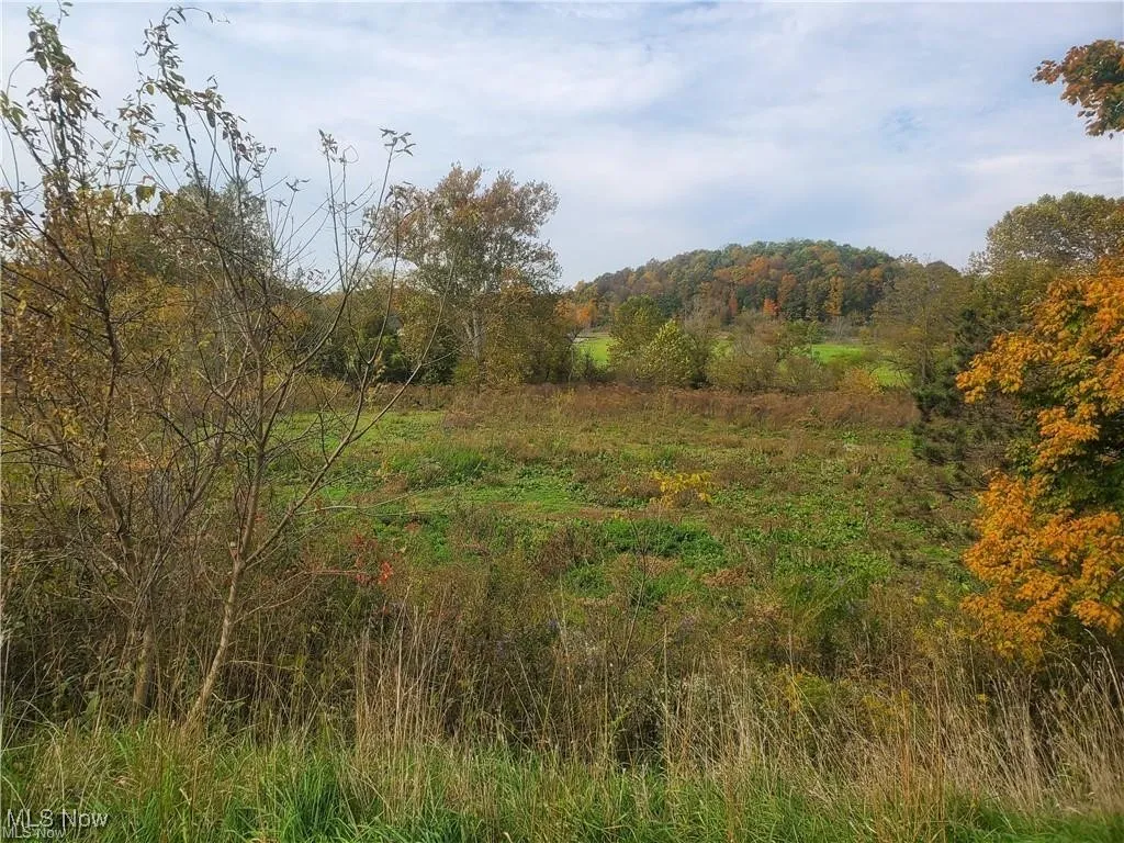 View of woods