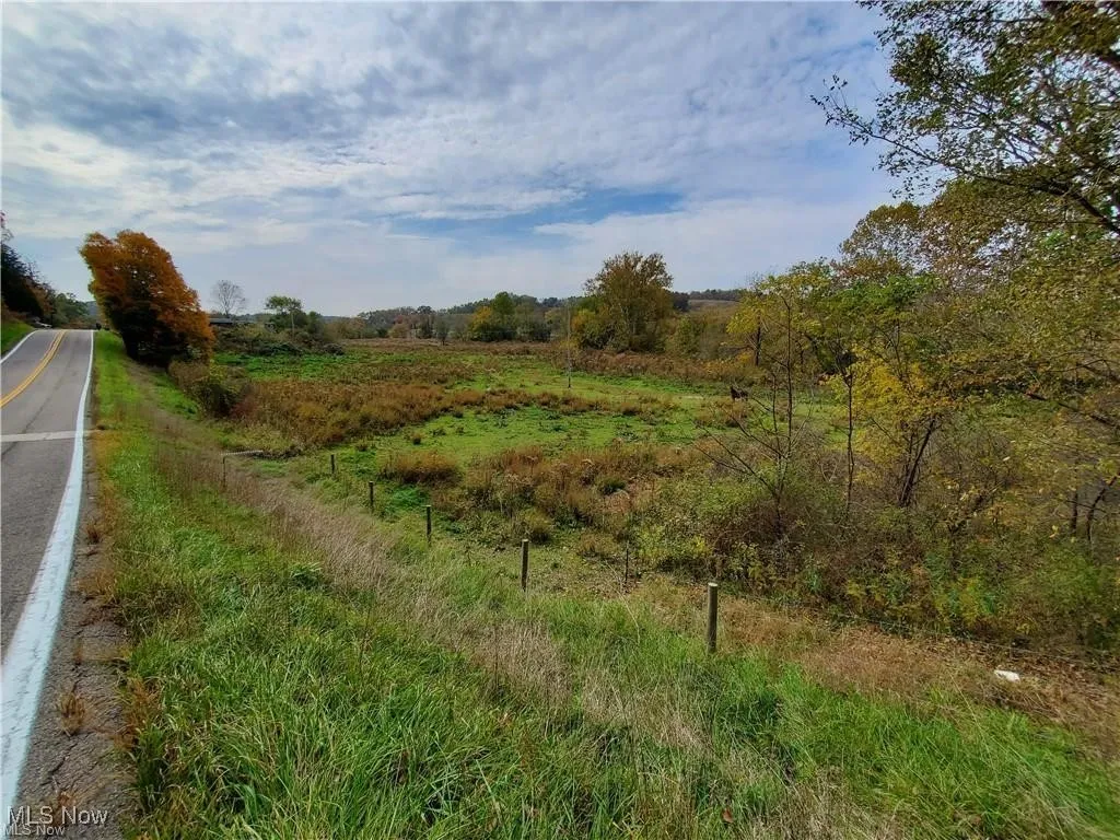 View of undeveloped land