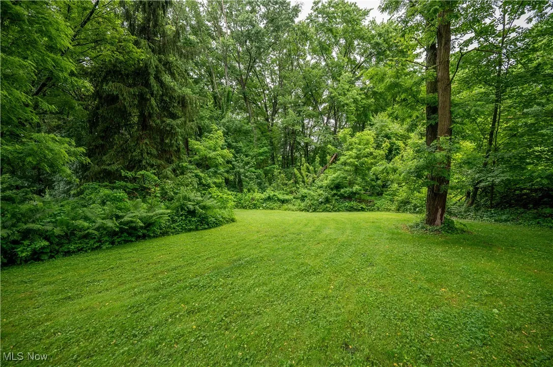 View of green lawn with a wooded view