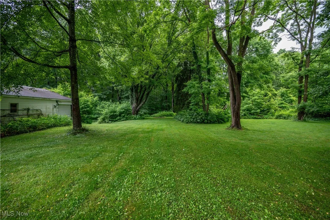 View of grassy yard