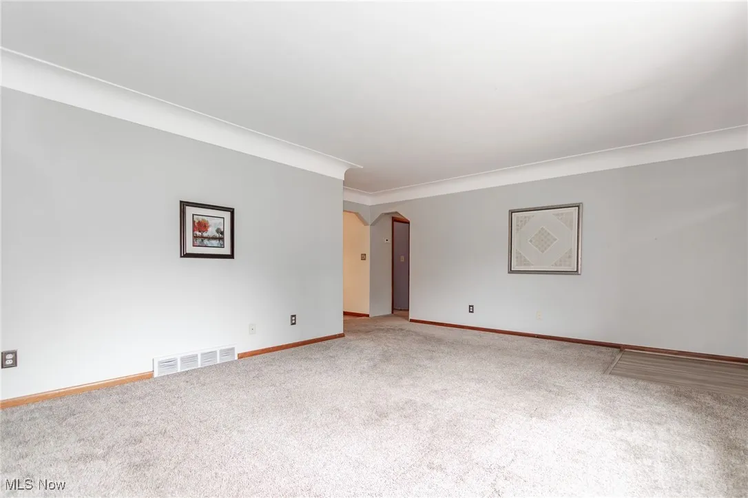 Carpeted living room