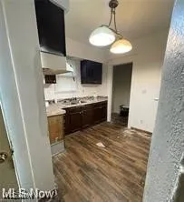 Kitchen featuring light countertops, dark wood-style flooring, dark brown cabinets, and decorative light fixtures