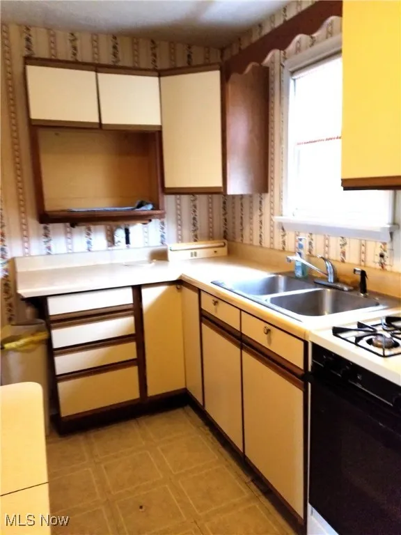 21050 N Vine Avenue, Euclid, Ohio,MLS Now Listing ID