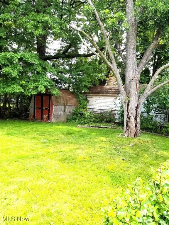 rear yard