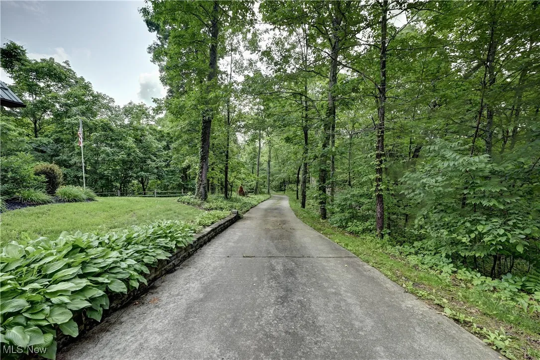 View of road featuring a view of trees