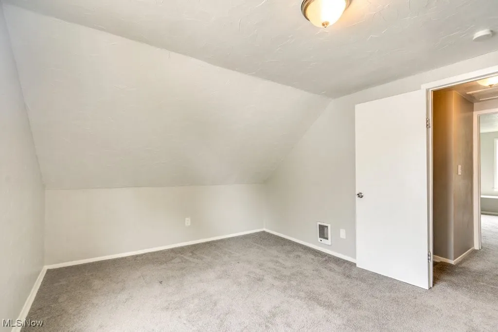 Bonus room with carpet floors and lofted ceiling
