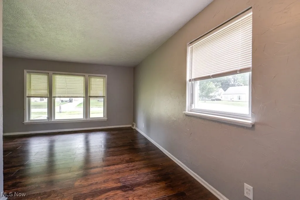 Spare room featuring plenty of natural light, dark wood-style floors, and a textured ceiling