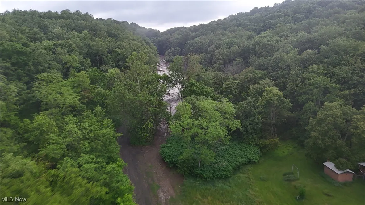 44318 10th Street Extension, Wellsville, Ohio,MLS Now Listing ID