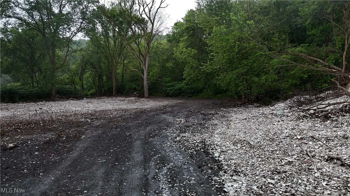 44318 10th Street Extension, Wellsville, Ohio,MLS Now Listing ID