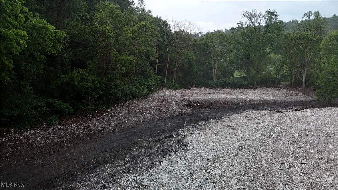 44318 10th Street Extension, Wellsville, Ohio,MLS Now Listing ID