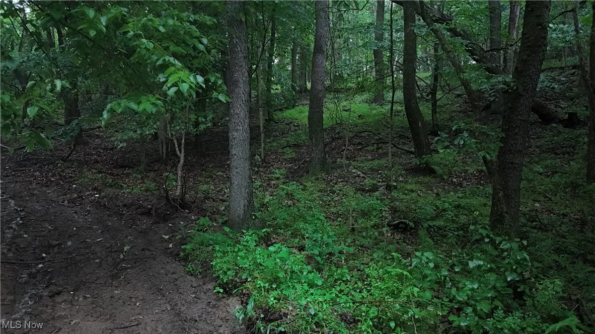 44318 10th Street Extension, Wellsville, Ohio,MLS Now Listing ID
