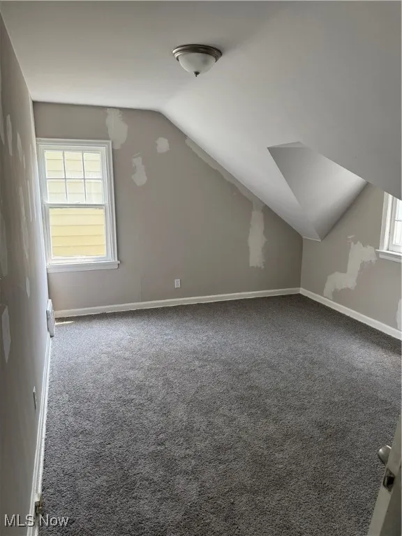 Bonus room featuring vaulted ceiling, plenty of natural light, and carpet
