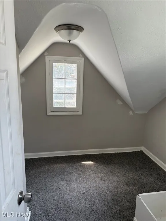Additional living space featuring lofted ceiling and carpet flooring