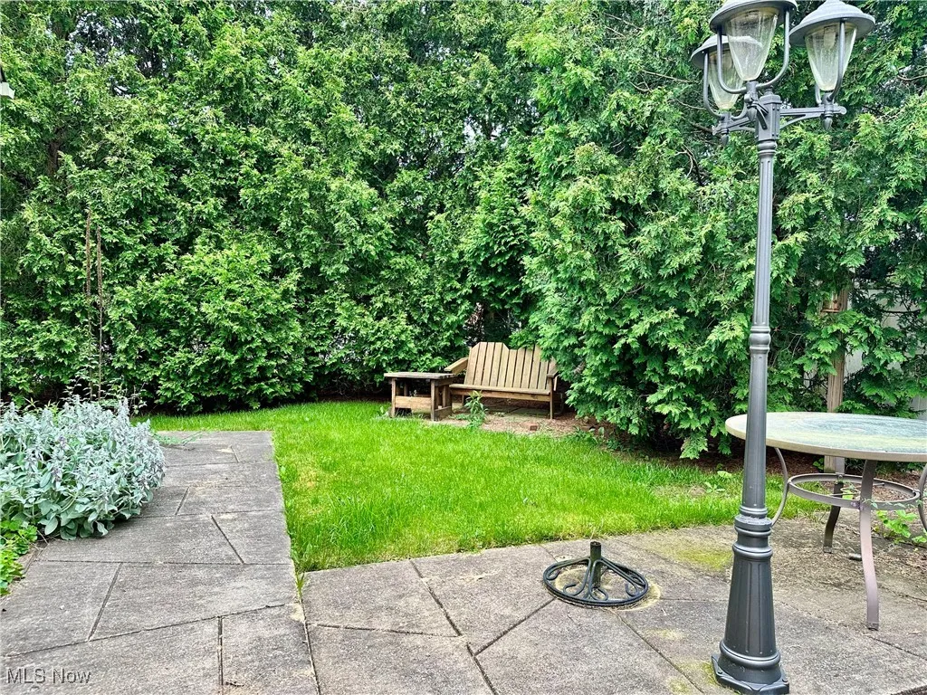 View of green lawn