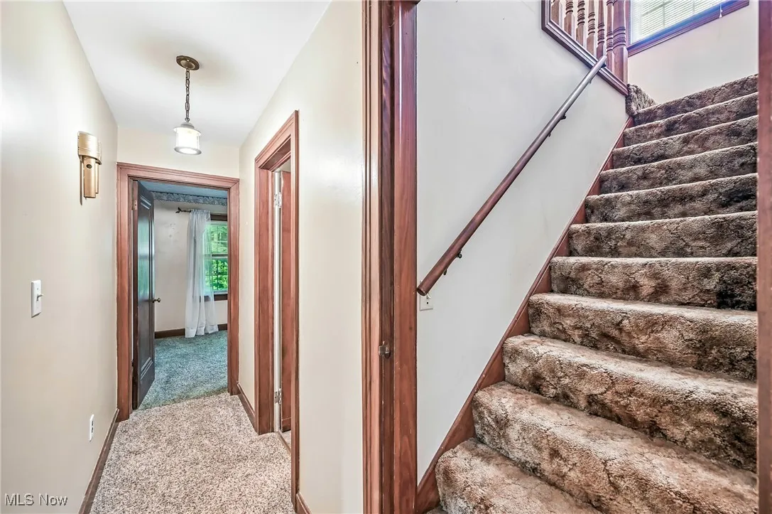 Stairs featuring carpet flooring and baseboards