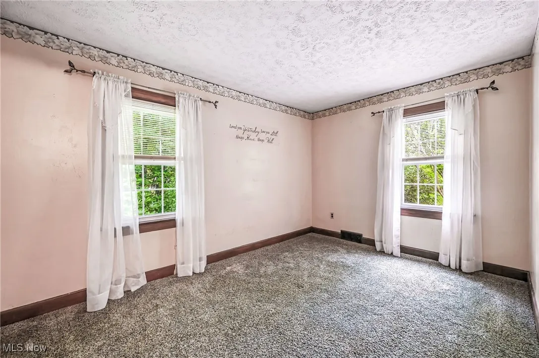 Spare room featuring healthy amount of natural light, carpet floors, and a textured ceiling
