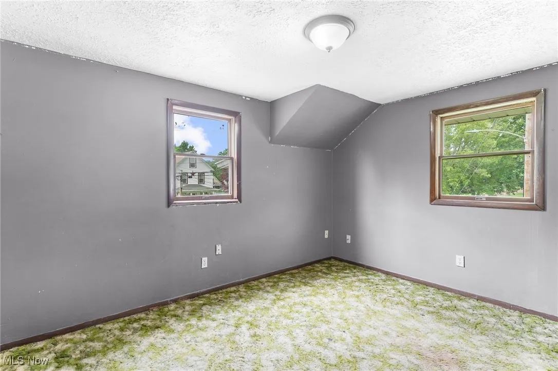 Additional living space featuring carpet flooring and a textured ceiling