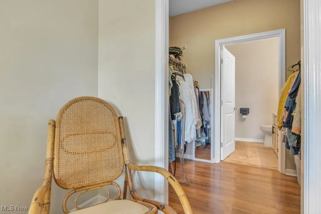 Primary Closet