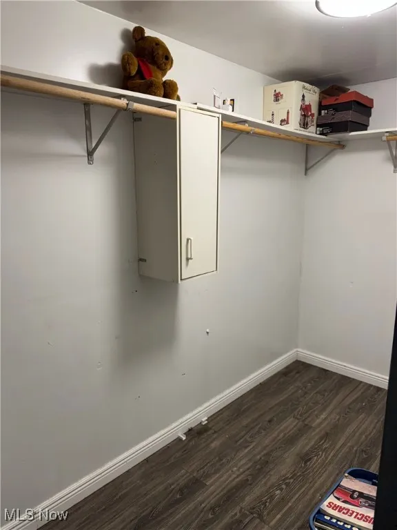 Walk in closet with dark wood finished floors