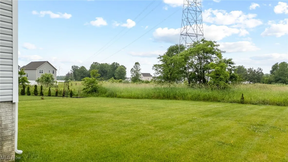 View of grassy yard