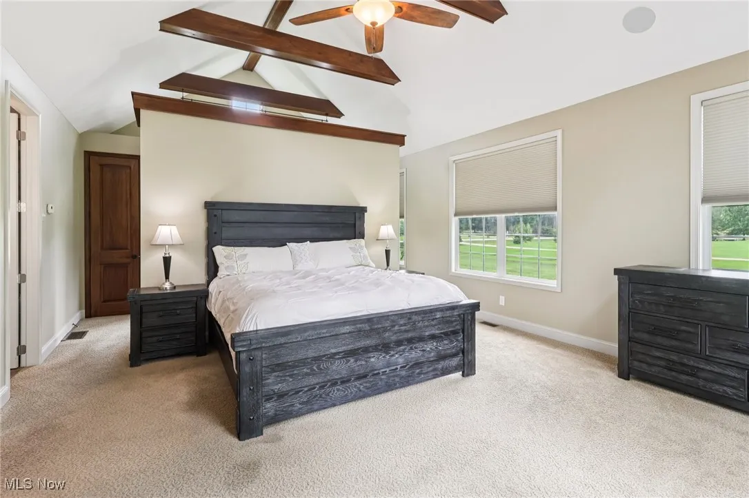 The primary bedroom with vaulted ceiling.  The large walk through closet and dressing area is located behind the bed.  To the left is the amazing primary bathroom.