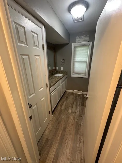 Bathroom with wood finished floors and vanity