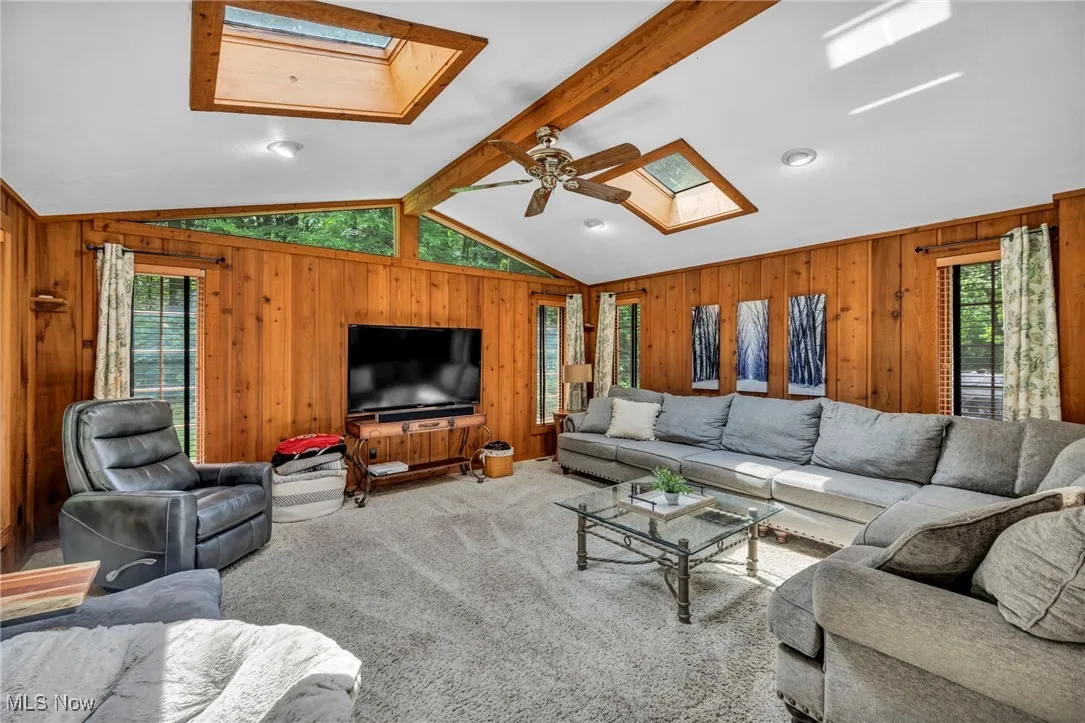 Living area featuring a skylight, wood walls, healthy amount of natural light, carpet floors, and a ceiling fan