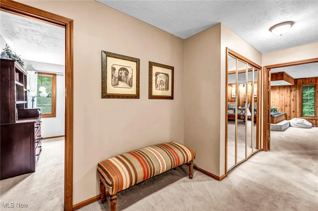 Hall featuring carpet and a textured ceiling