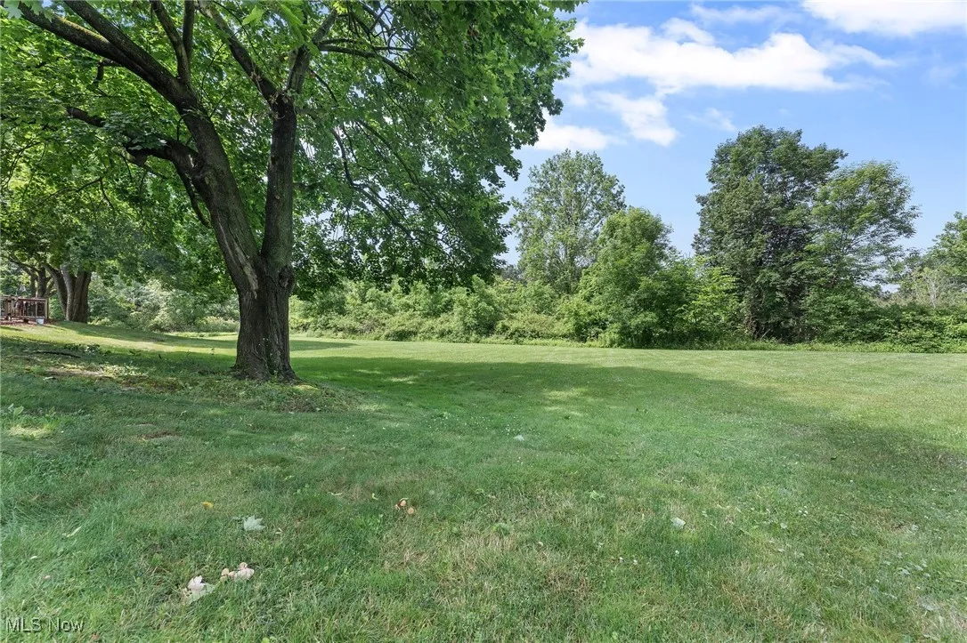 View of grassy yard