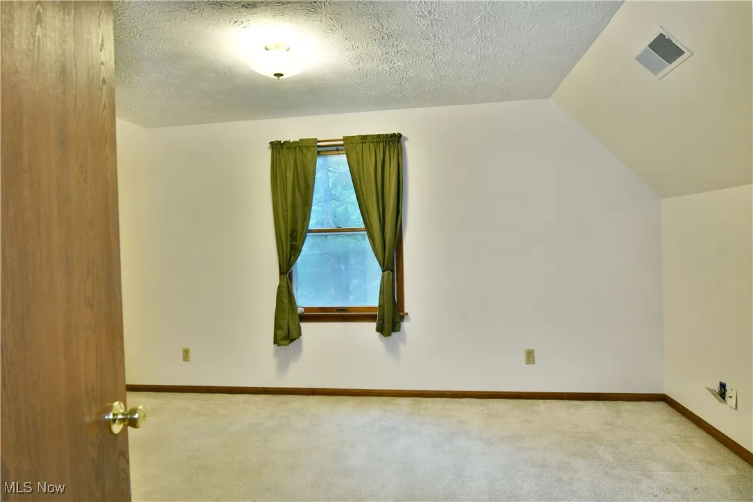 Bonus room featuring carpet floors, lofted ceiling, and a textured ceiling