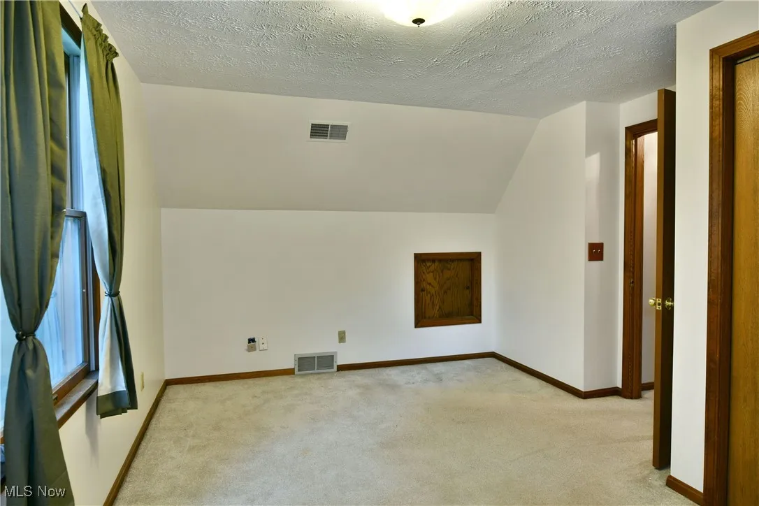 Additional living space featuring light colored carpet, lofted ceiling, and a textured ceiling