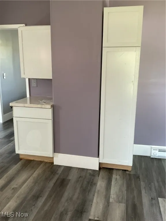 Kitchen with white cabinets, dark wood-style floors, and countertop and pantry