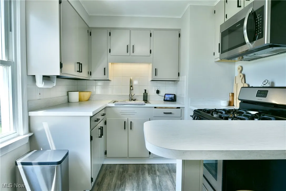 Kitchen featuring stainless steel appliances, light countertops, tasteful backsplash, dark wood-style flooring, and crown molding