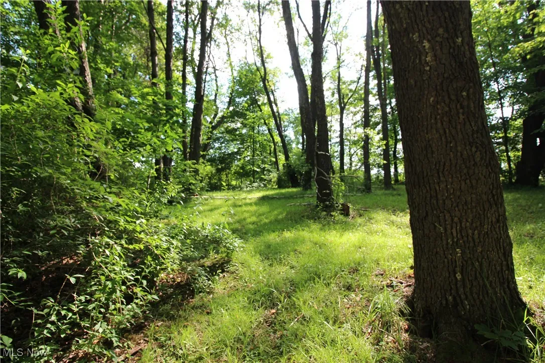 8630 Williams Road, Chardon, Ohio 44024,MLS Now Listing ID