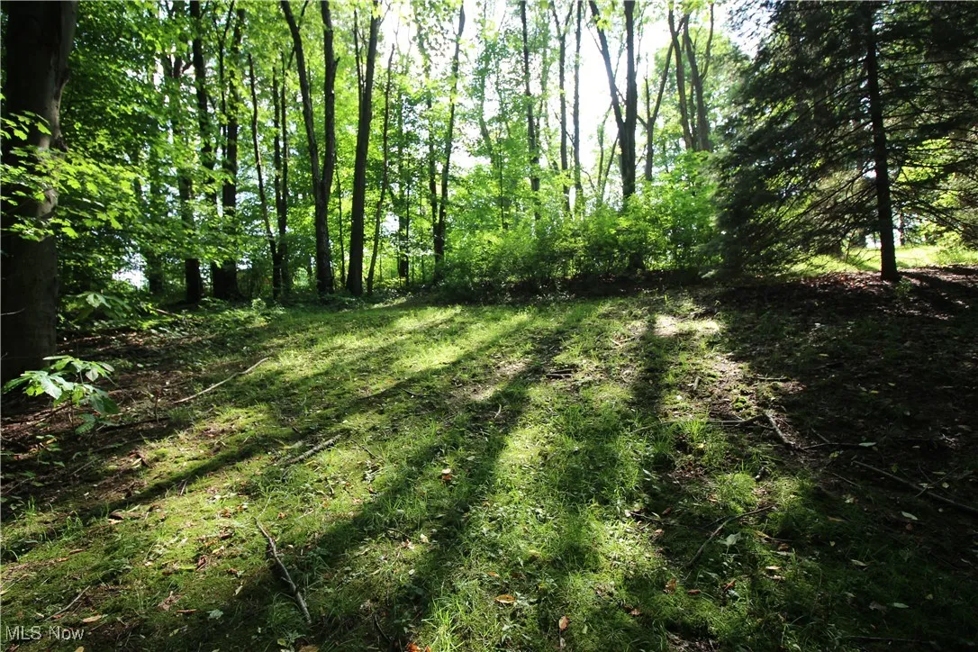 8630 Williams Road, Chardon, Ohio 44024,MLS Now Listing ID