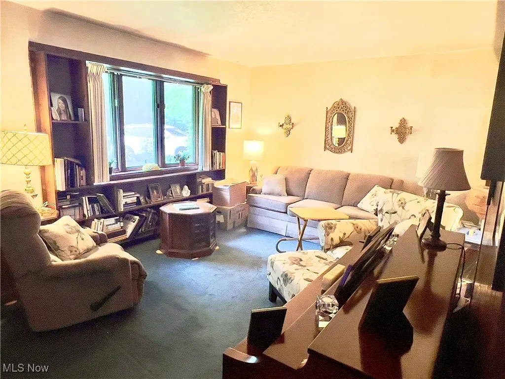 4234 Burkey Road, Austintown, Ohio 44515,MLS Now Listing ID