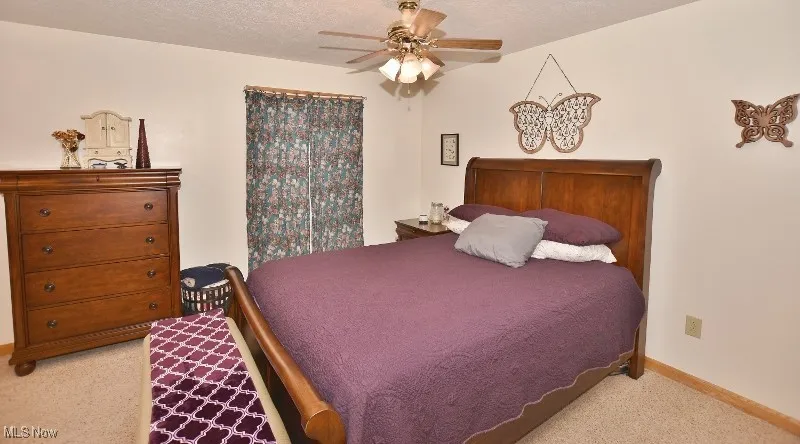 The master bedroom is very spacious and includes 2 closets for the new owners