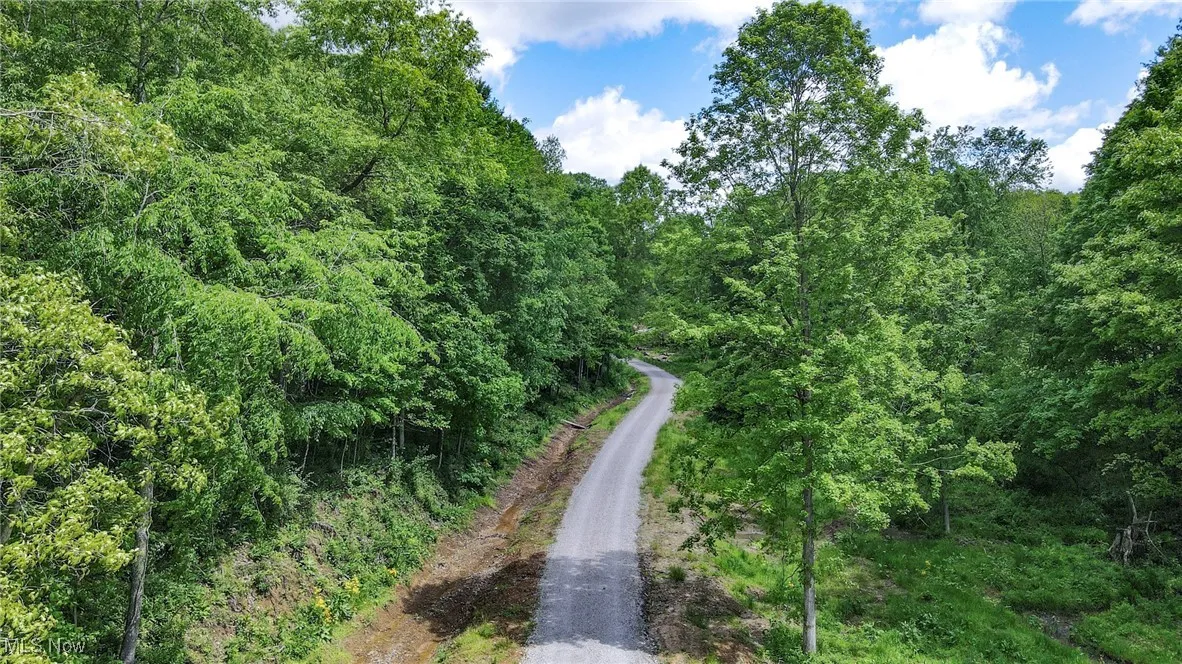 View of dirt / gravel road with a wooded view