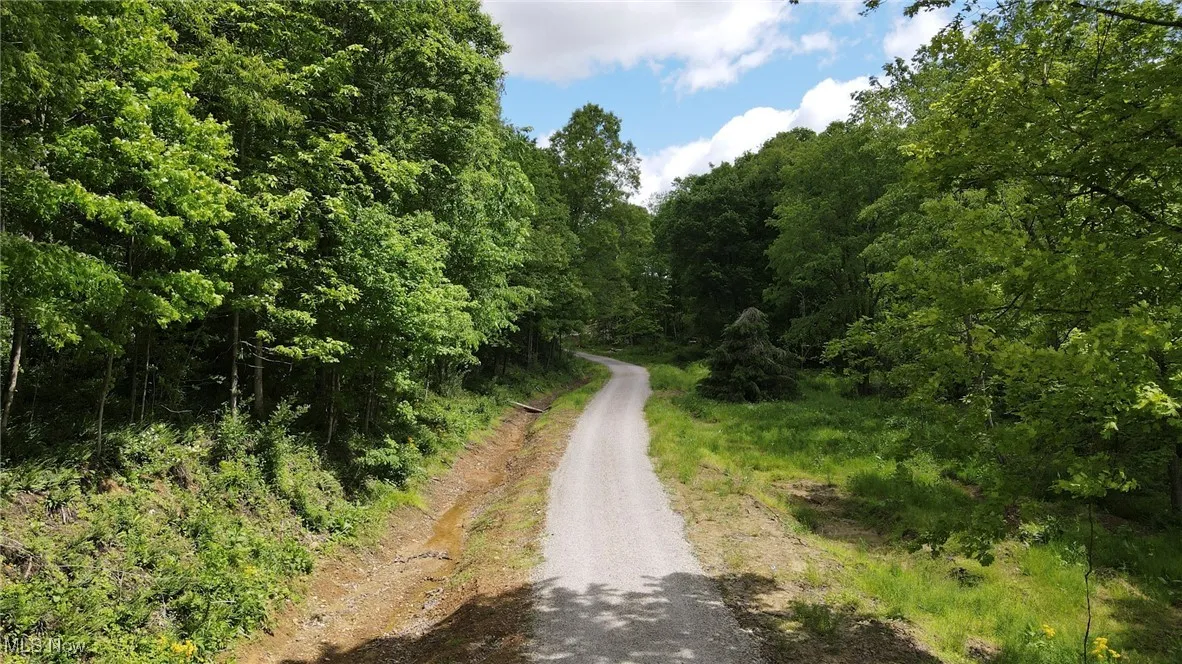 View of dirt / gravel road with a view of trees